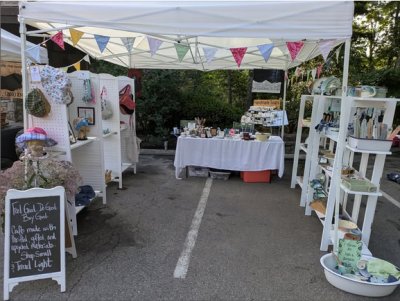 Fox Willow header 400