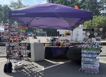 Jennue Beanzz canopy 